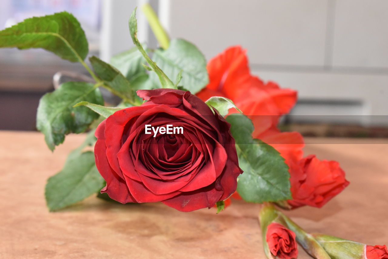 Close-up of rose bouquet