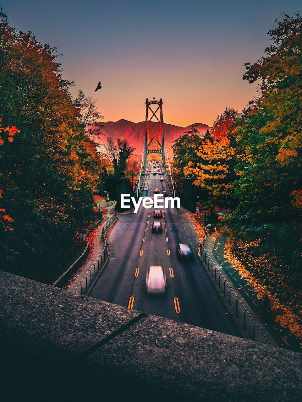 Blurred motion of cars on suspension bridge during sunset