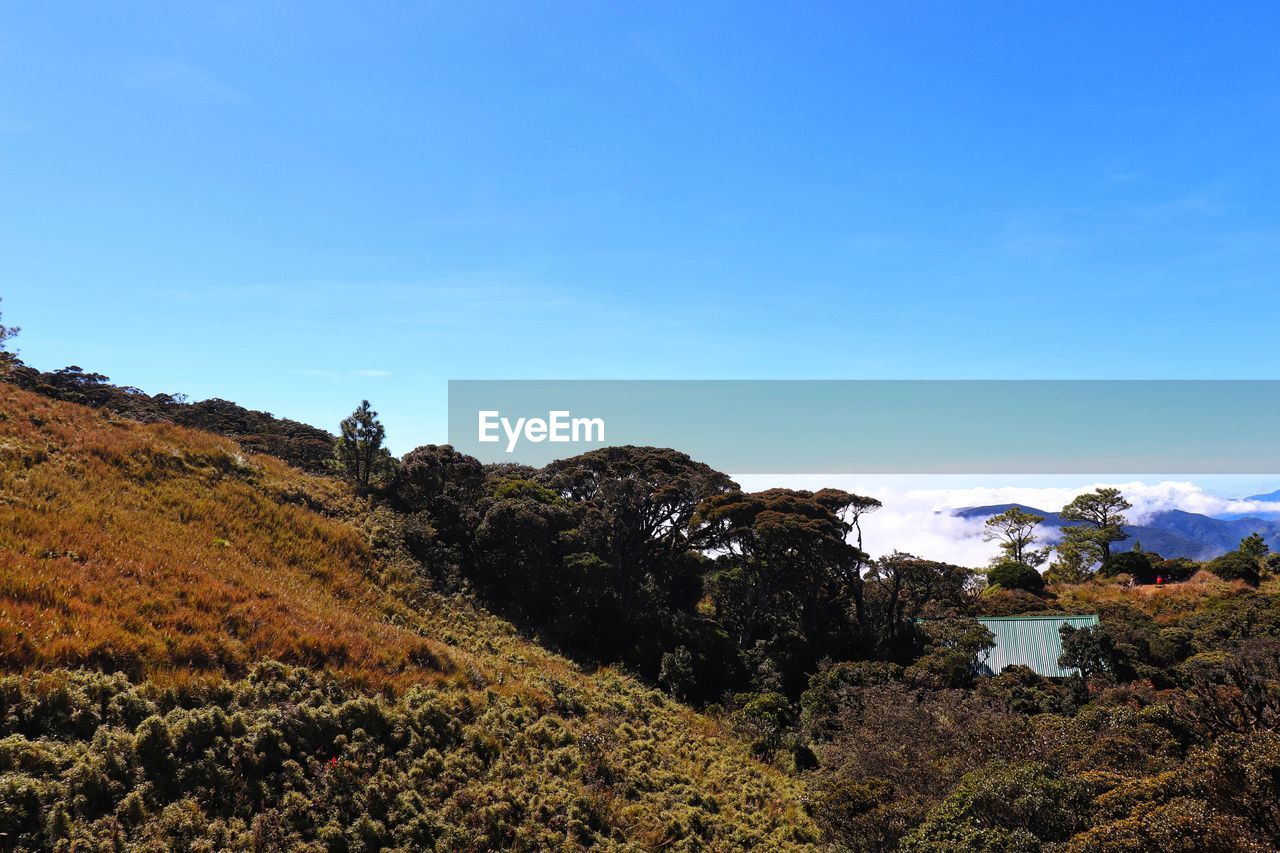 A scenic view of mountain grasslands and forestations.