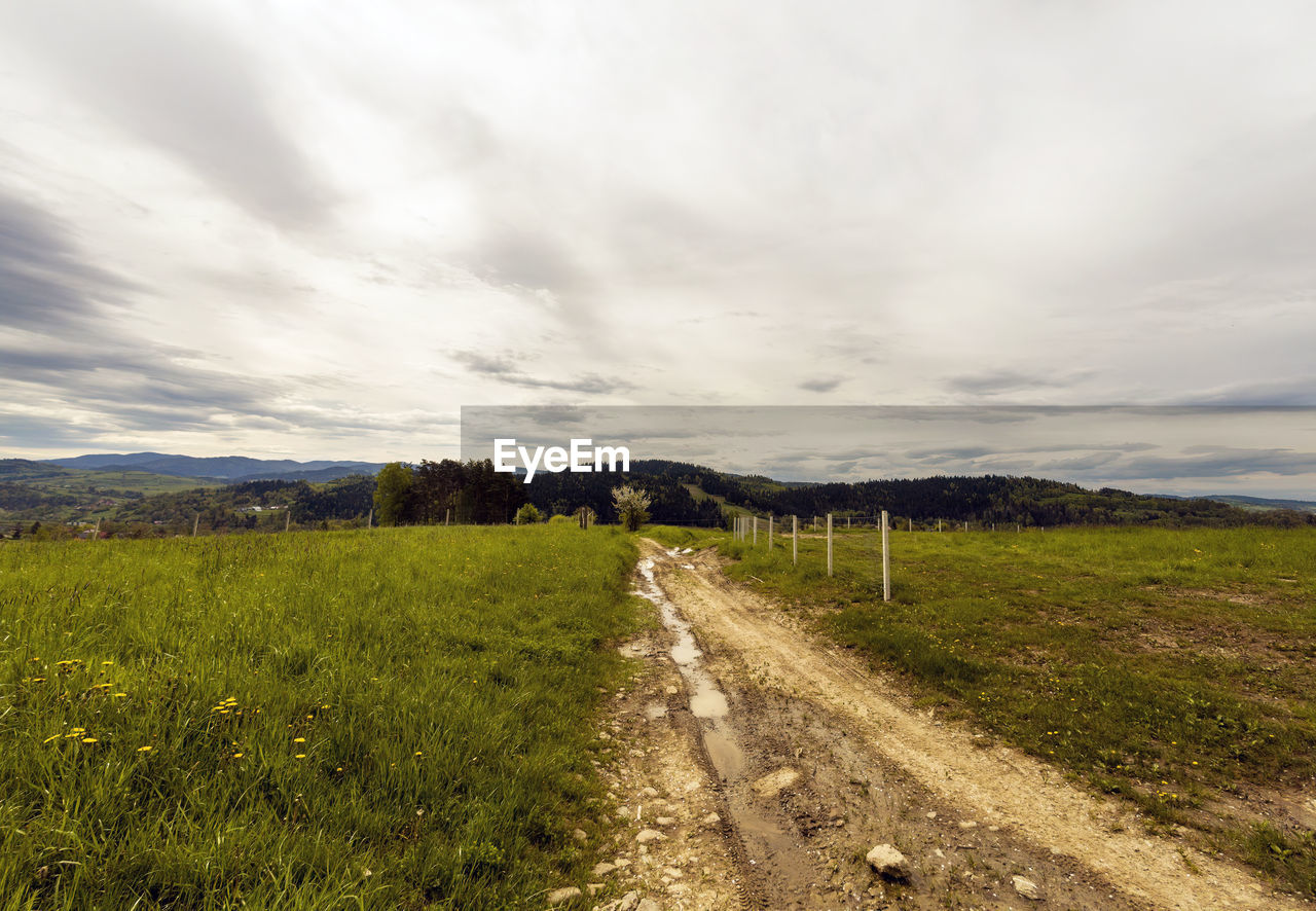 Panoramic view of a path or trail with water puddles in a middle of a green meadow in countryside