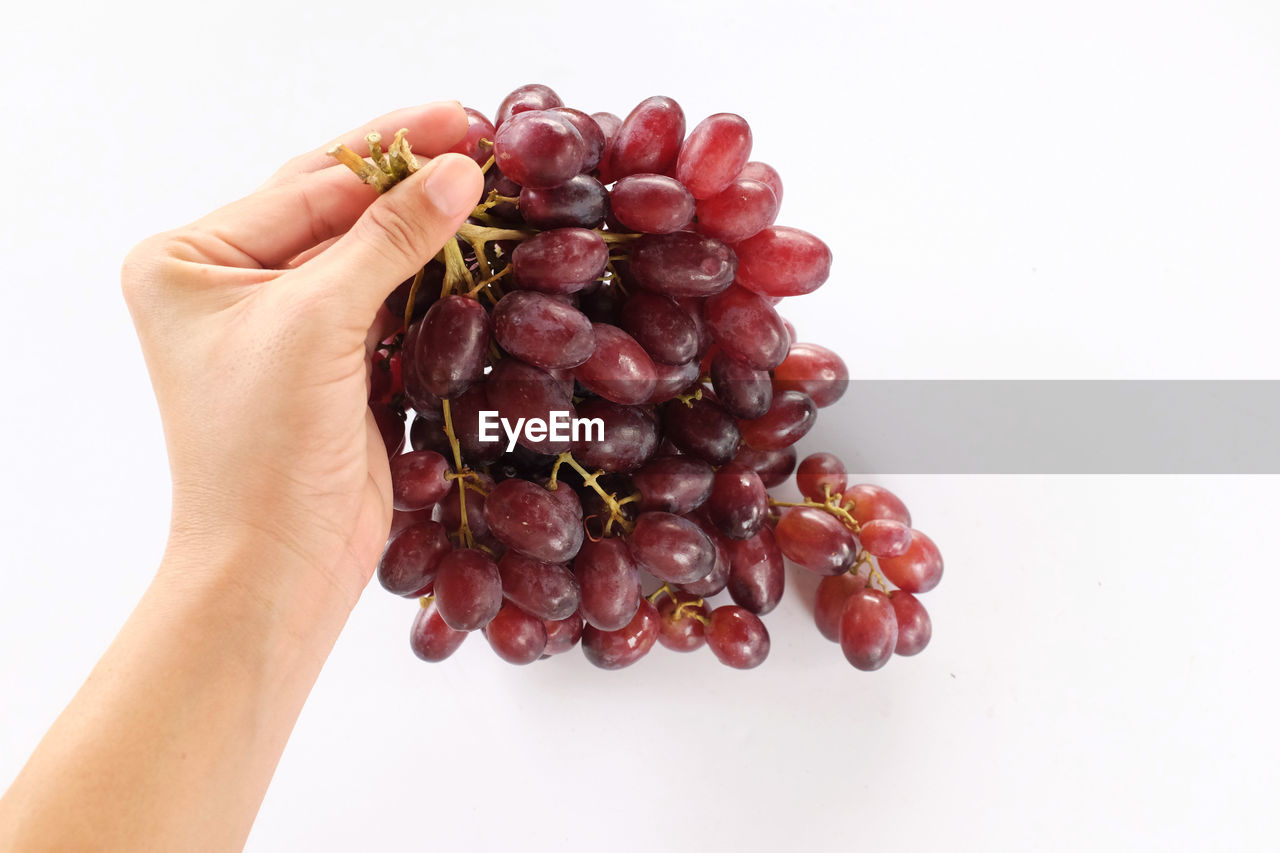 CLOSE-UP OF HAND HOLDING BERRIES