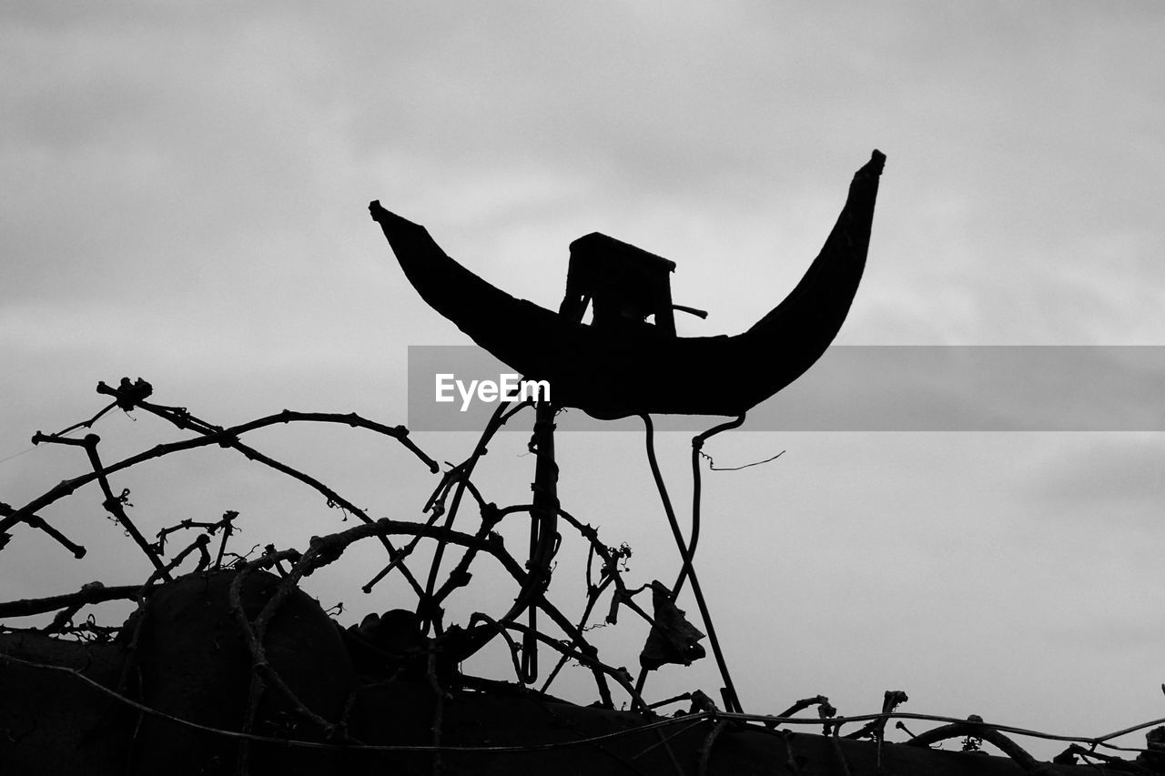 LOW ANGLE VIEW OF SILHOUETTE BIRD ON CABLE