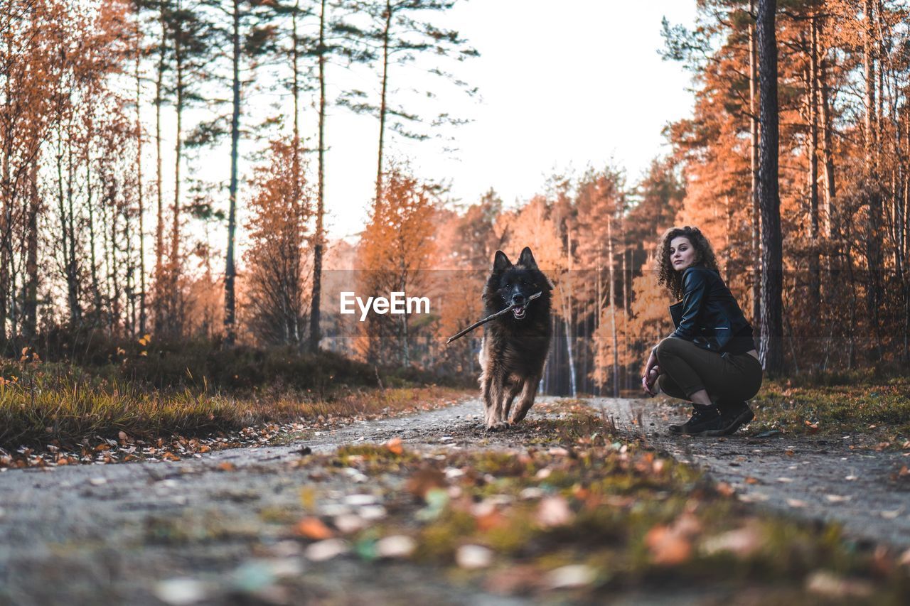 Portrait of dog holding stick with woman 
on field