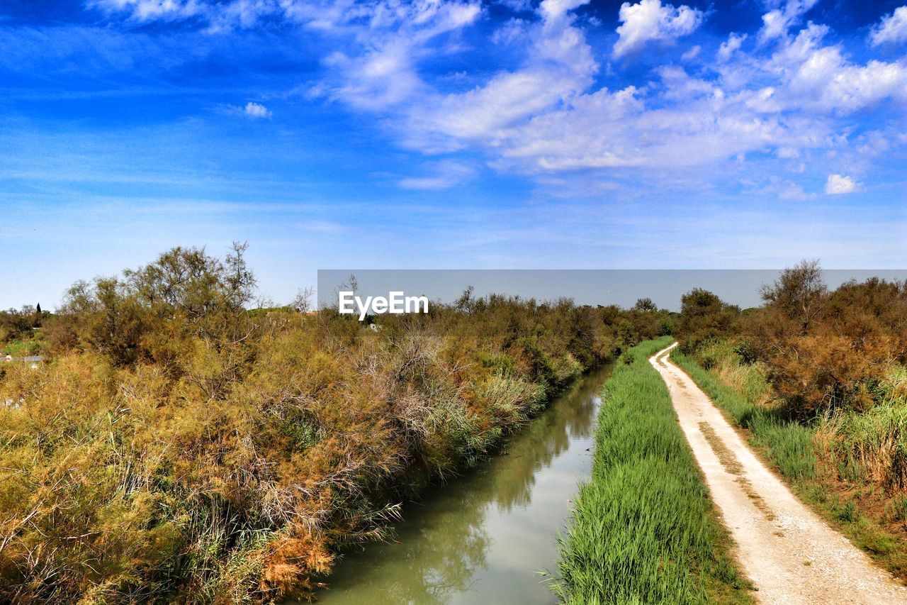 Scenic view of river amidst trees against sky
