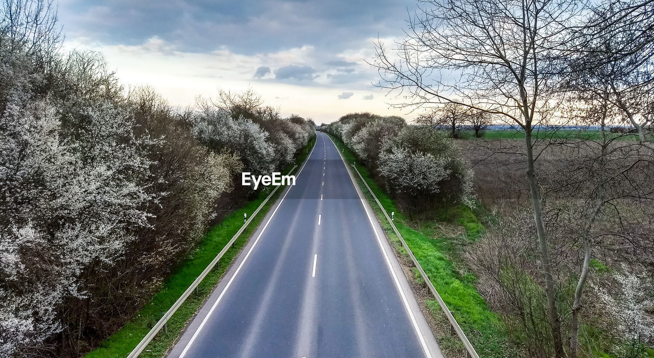 EMPTY ROAD ALONG TREES AND PLANTS