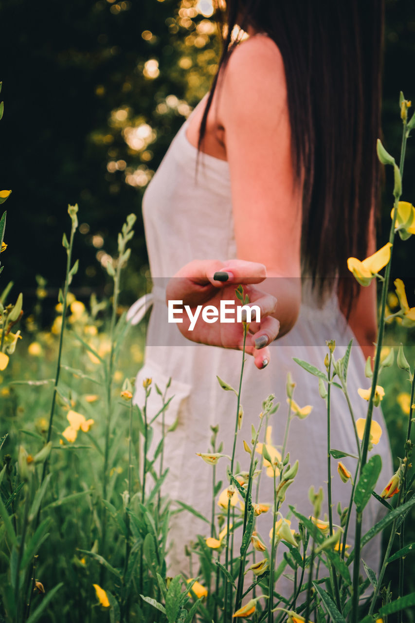 Midsection of woman holding flower