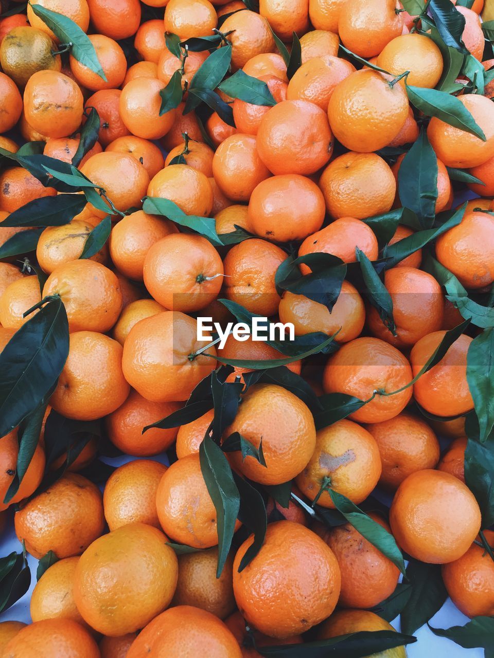 HIGH ANGLE VIEW OF PUMPKINS FOR SALE IN MARKET