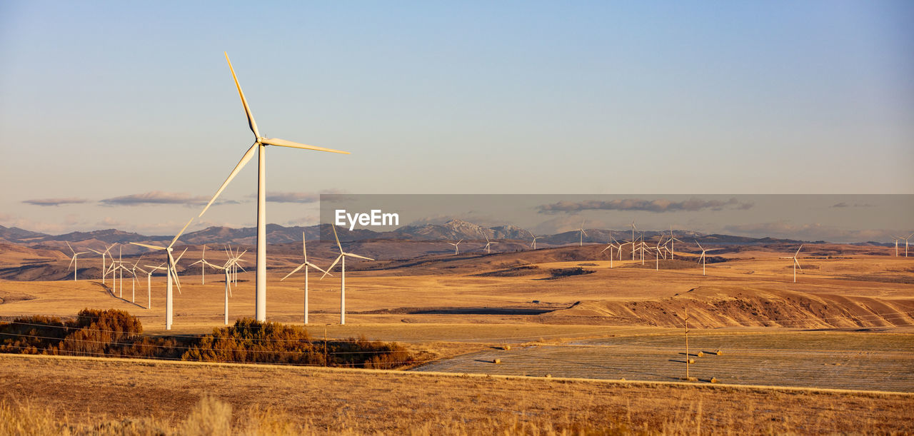 Wind turbines in a field with blue sky