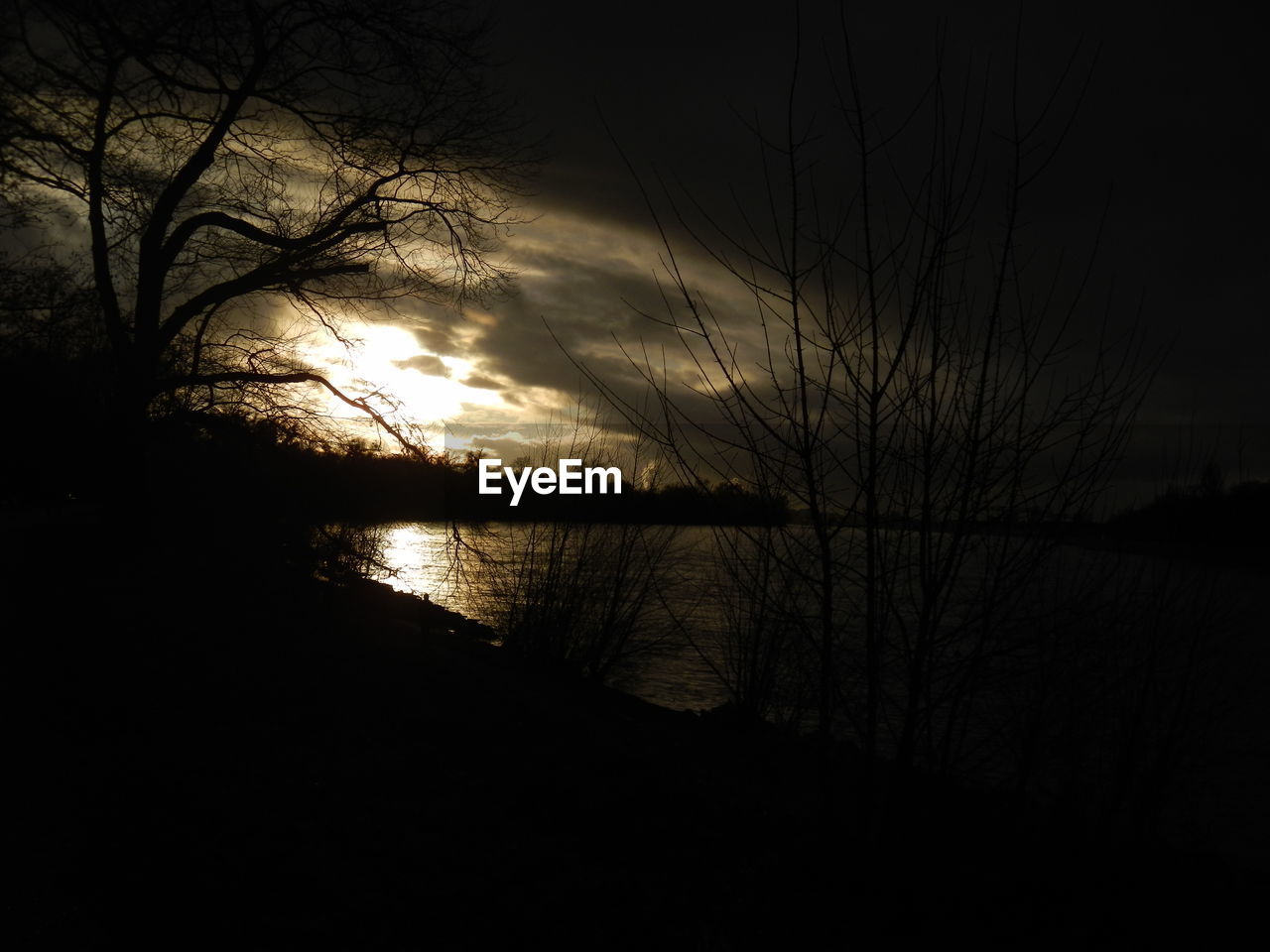 SILHOUETTE OF TREES AND LAKE AT SUNSET