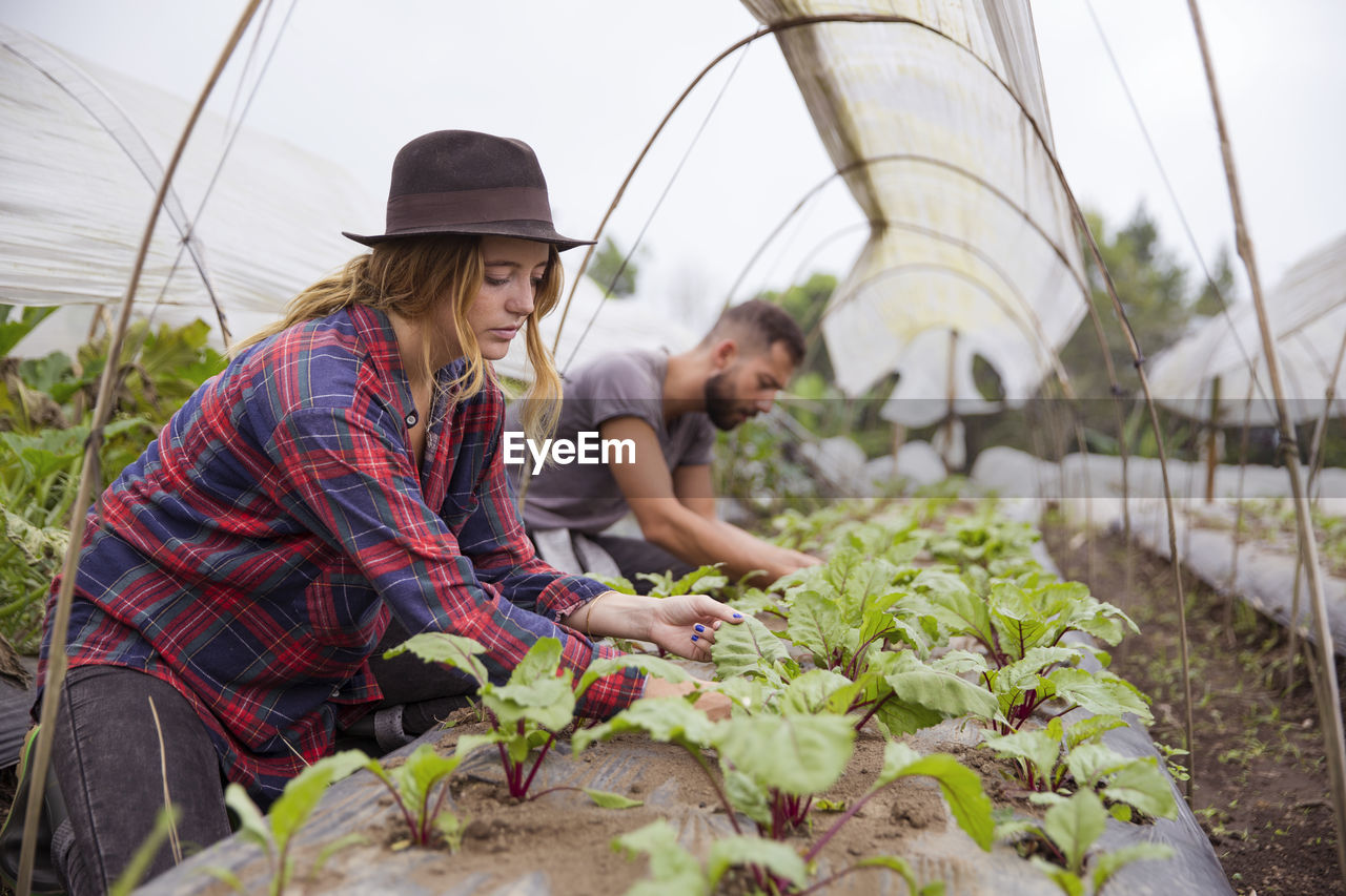 Young farmers working together in farm