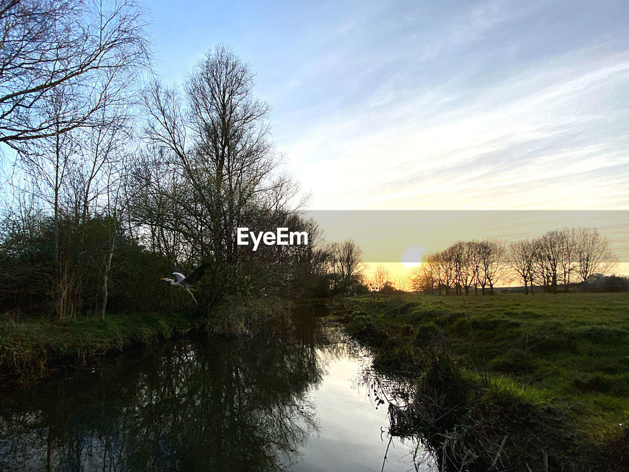 SCENIC VIEW OF CANAL AMIDST TREES AGAINST SKY