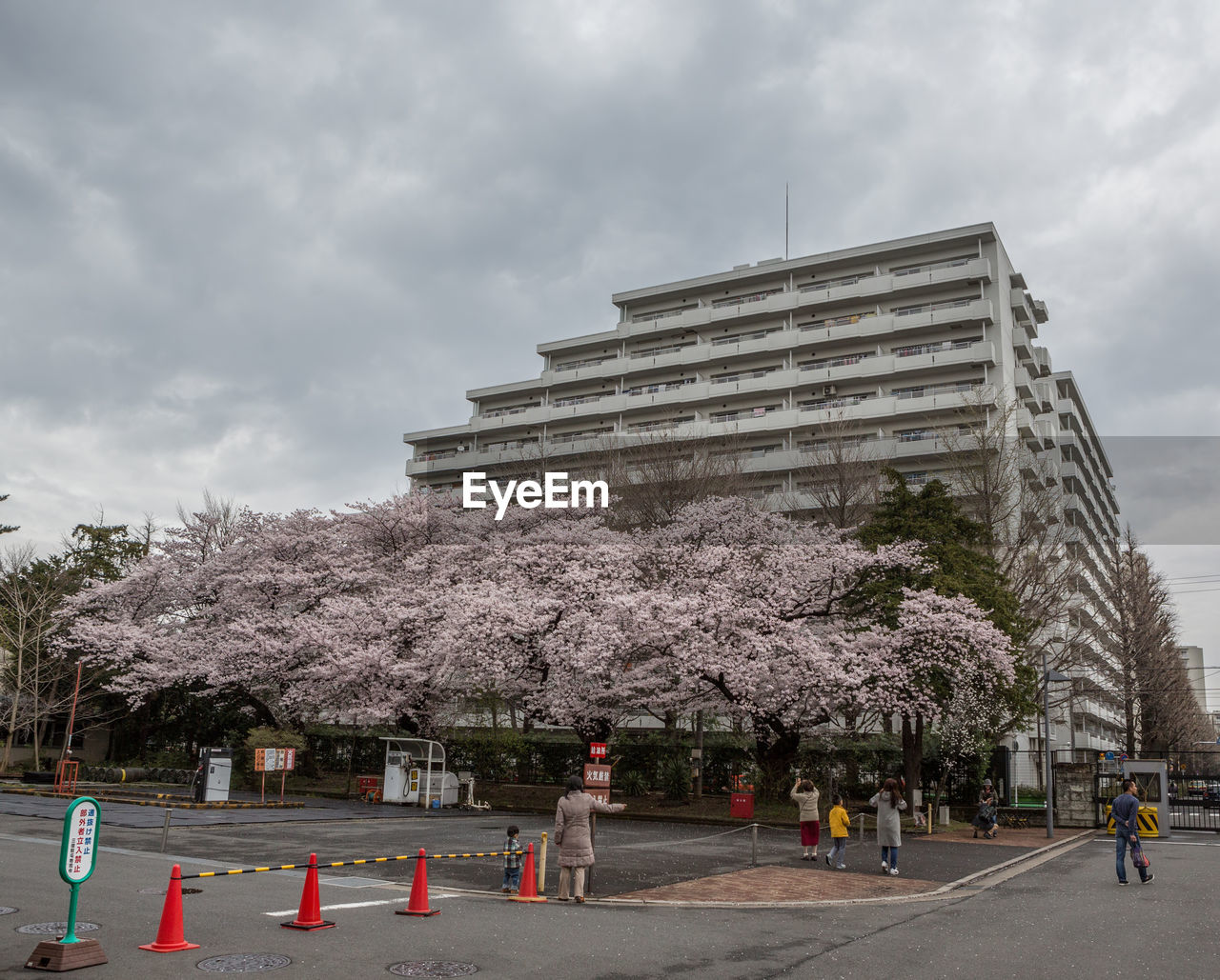 VIEW OF BUILDING WITH TREES IN BACKGROUND