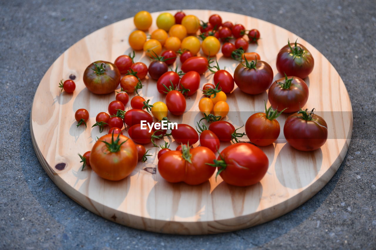 Closeup healthy garden tomato