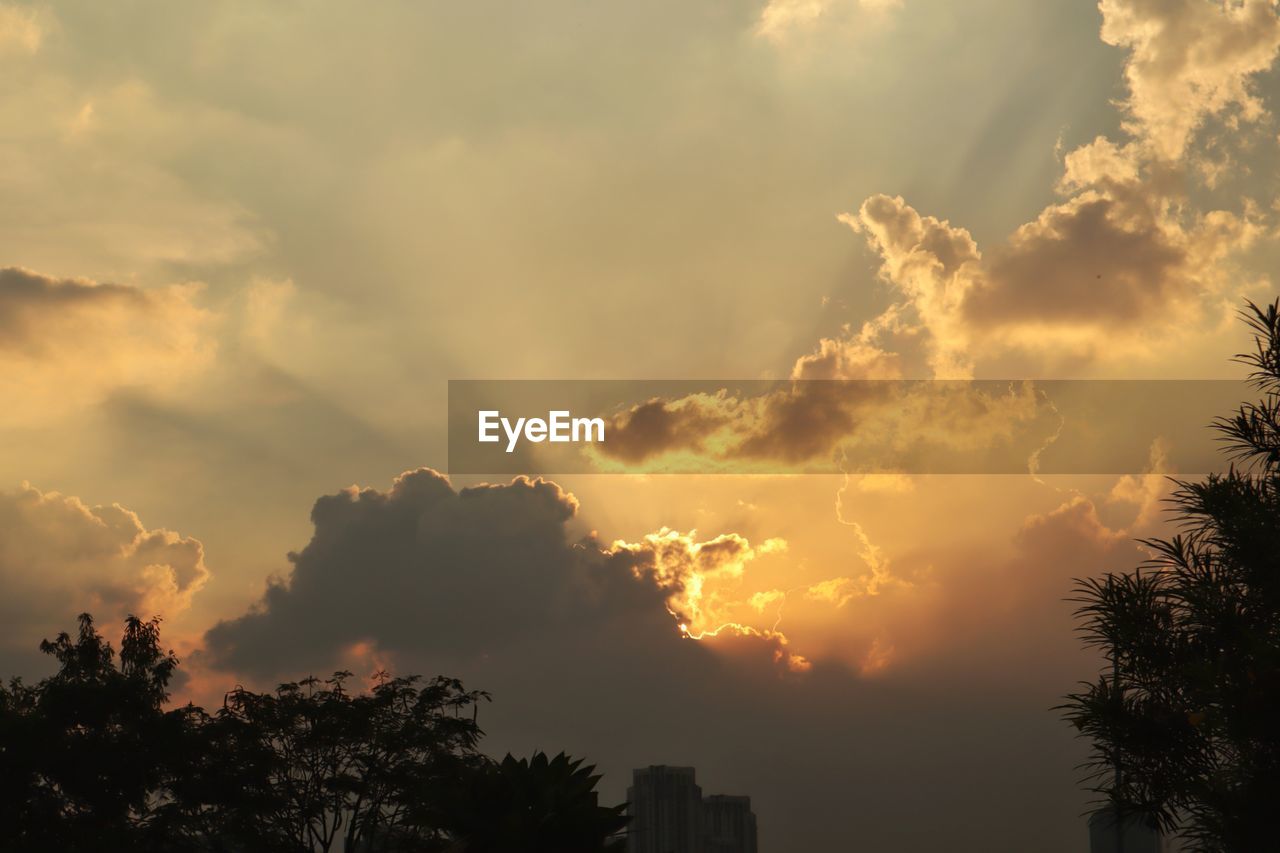 LOW ANGLE VIEW OF SILHOUETTE TREE AGAINST SKY DURING SUNSET