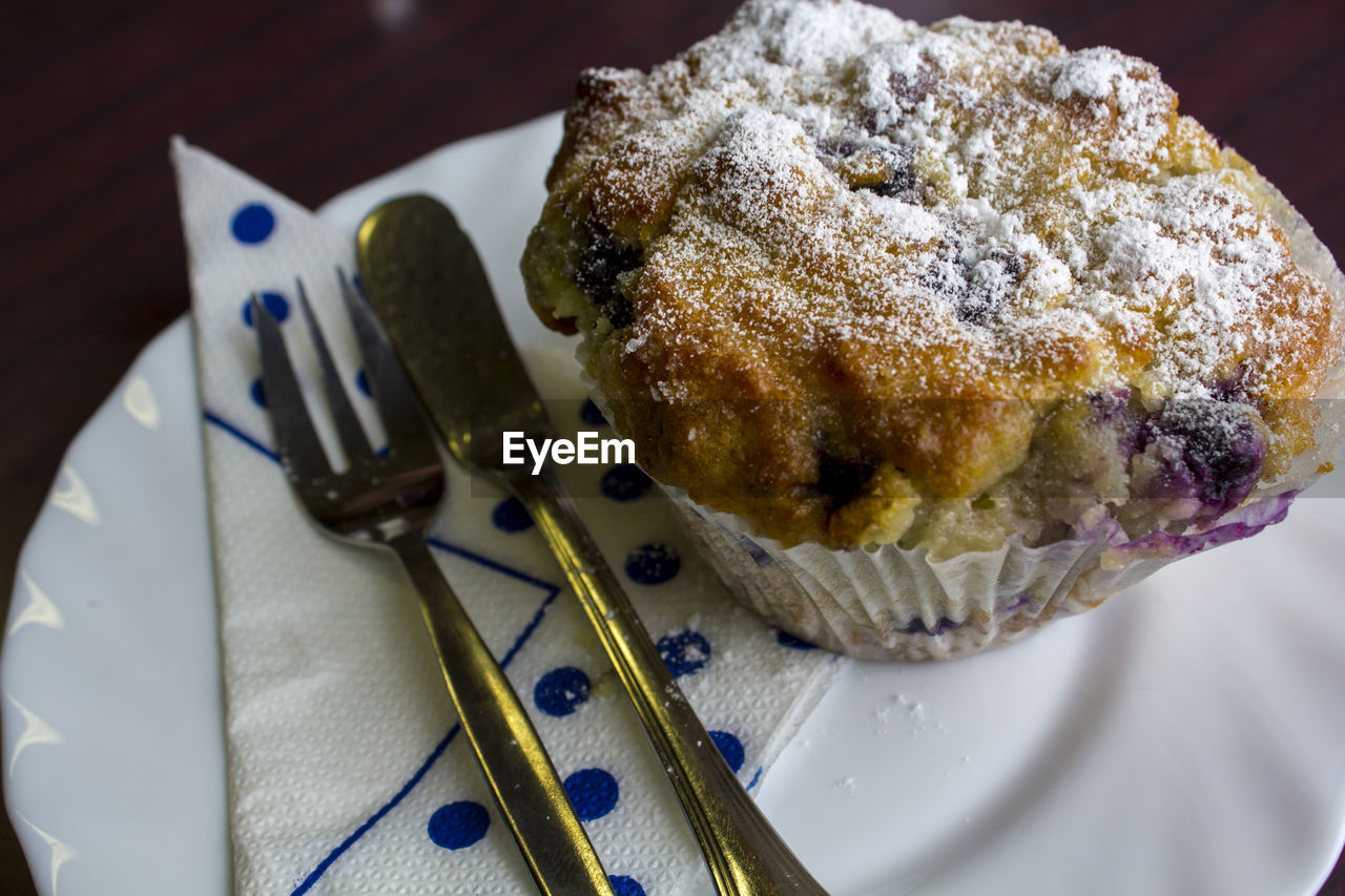 Delicious blueberrie muffin with powder sugar on top