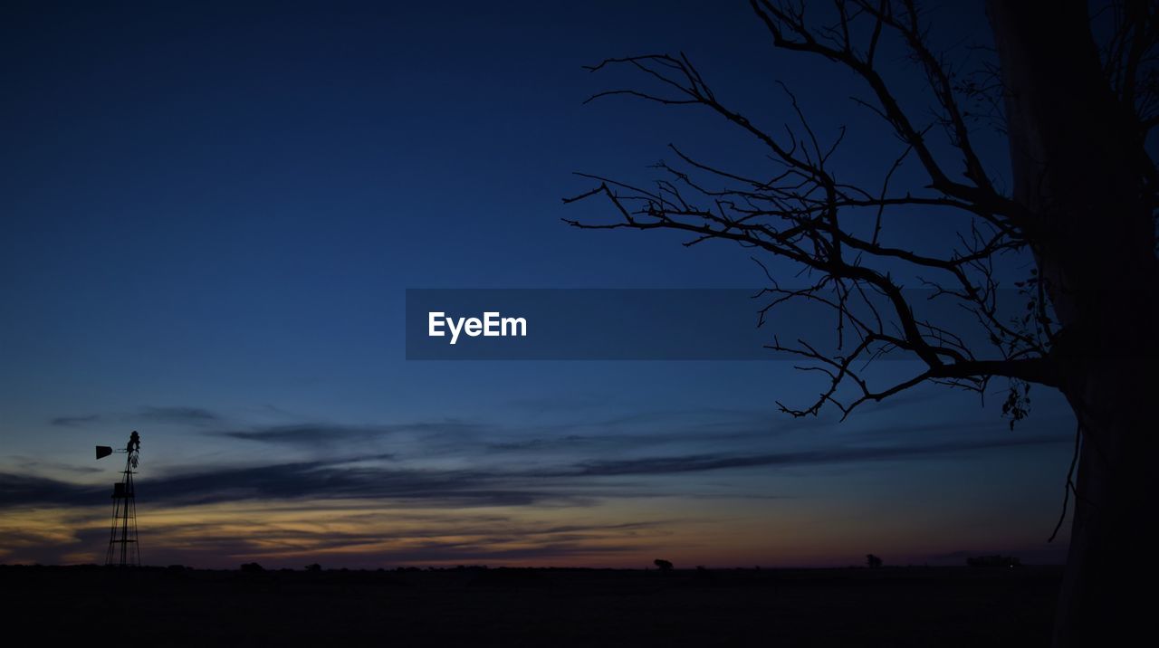 SILHOUETTE OF BARE TREE AGAINST SKY