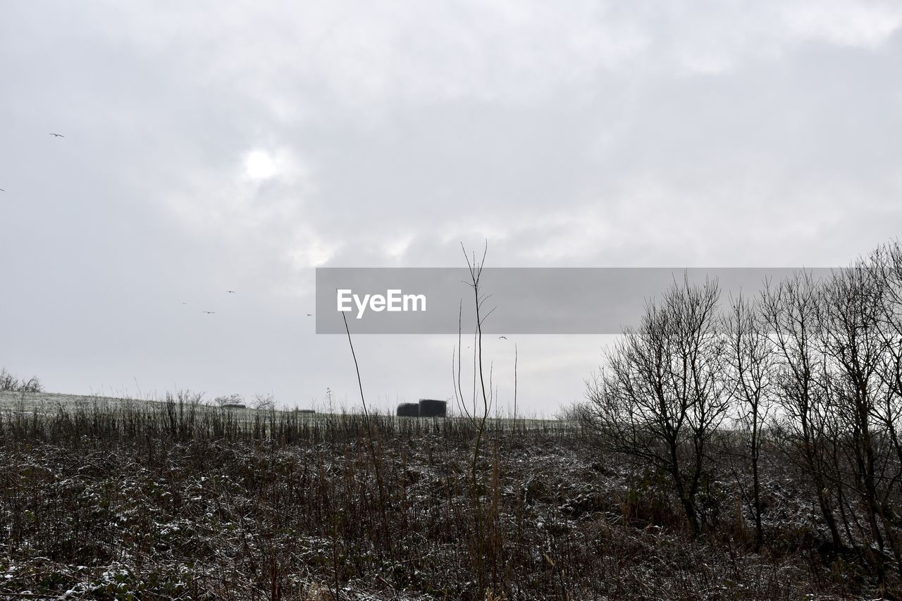 ELECTRICITY PYLON ON FIELD AGAINST SKY