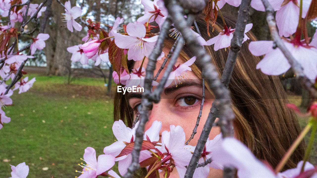 CLOSE-UP PORTRAIT OF FLOWERING PLANTS