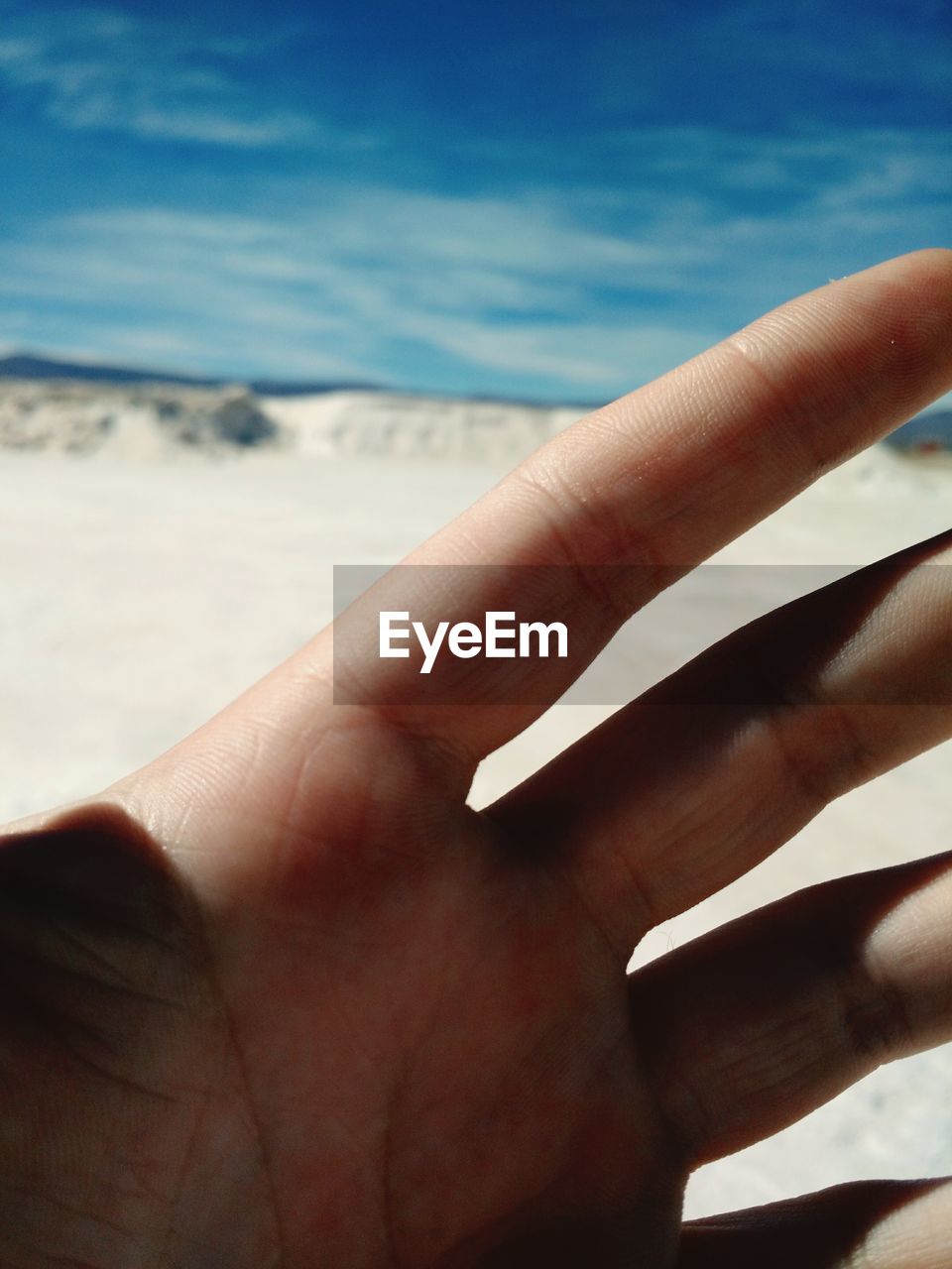 CROPPED IMAGE OF WOMAN