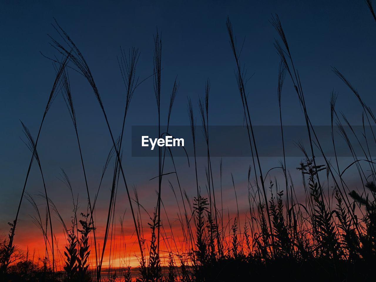 Silhouette landscape against sky during sunset