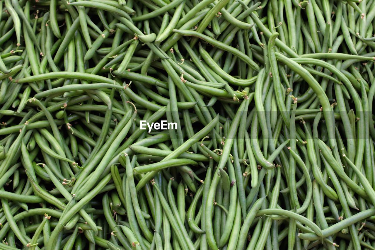 FULL FRAME SHOT OF FRESH GREEN VEGETABLES