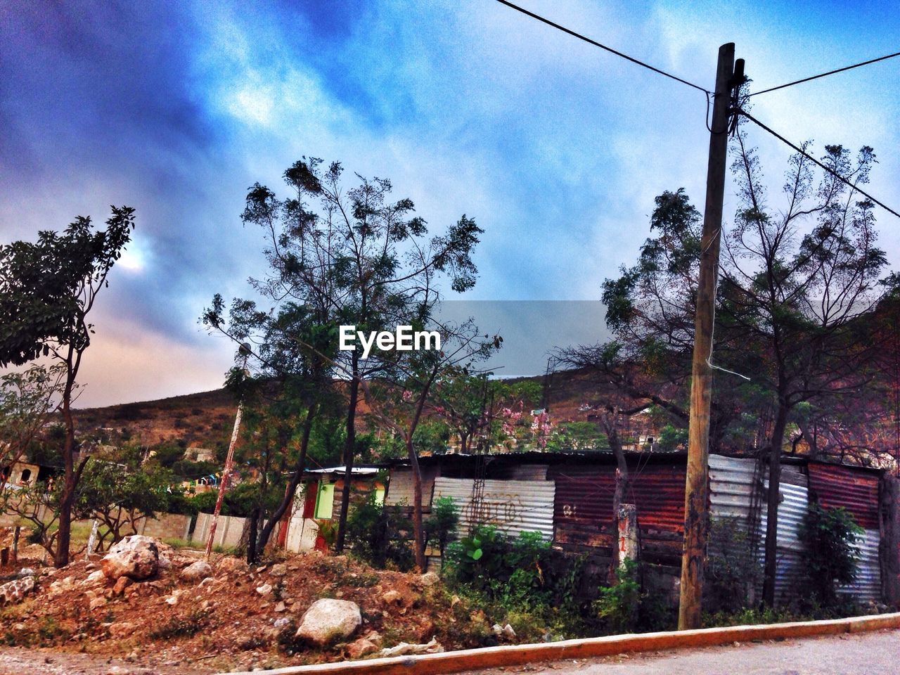 Informal settlement with trees at hillside