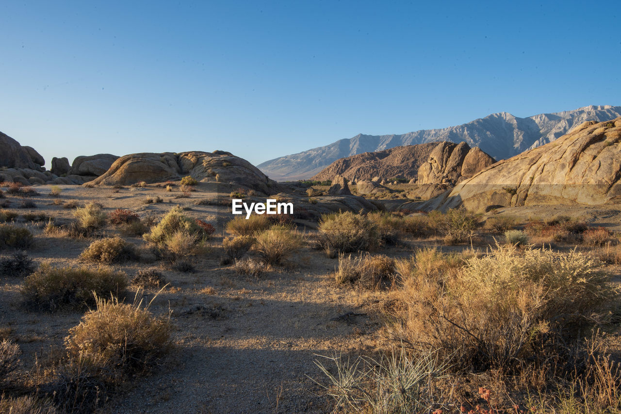 Scenic view of landscape against clear sky