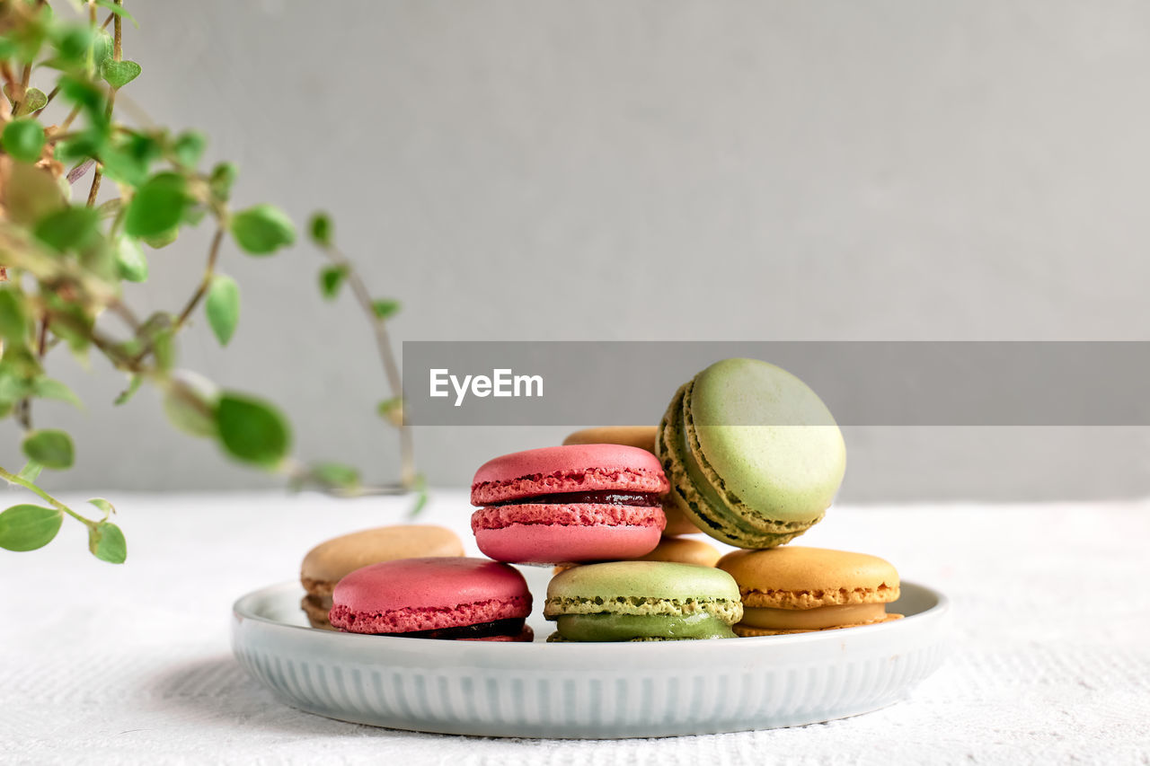 Colorful french macarons on pastel background. tasty cake macaroon of different colors in the plate.