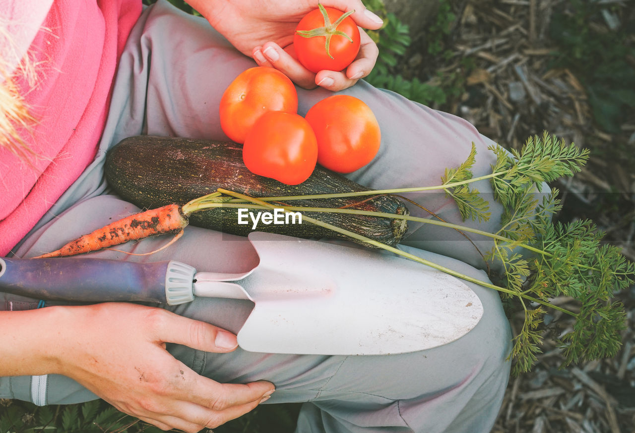 Midsection of woman with spade and vegetables sitting in garden