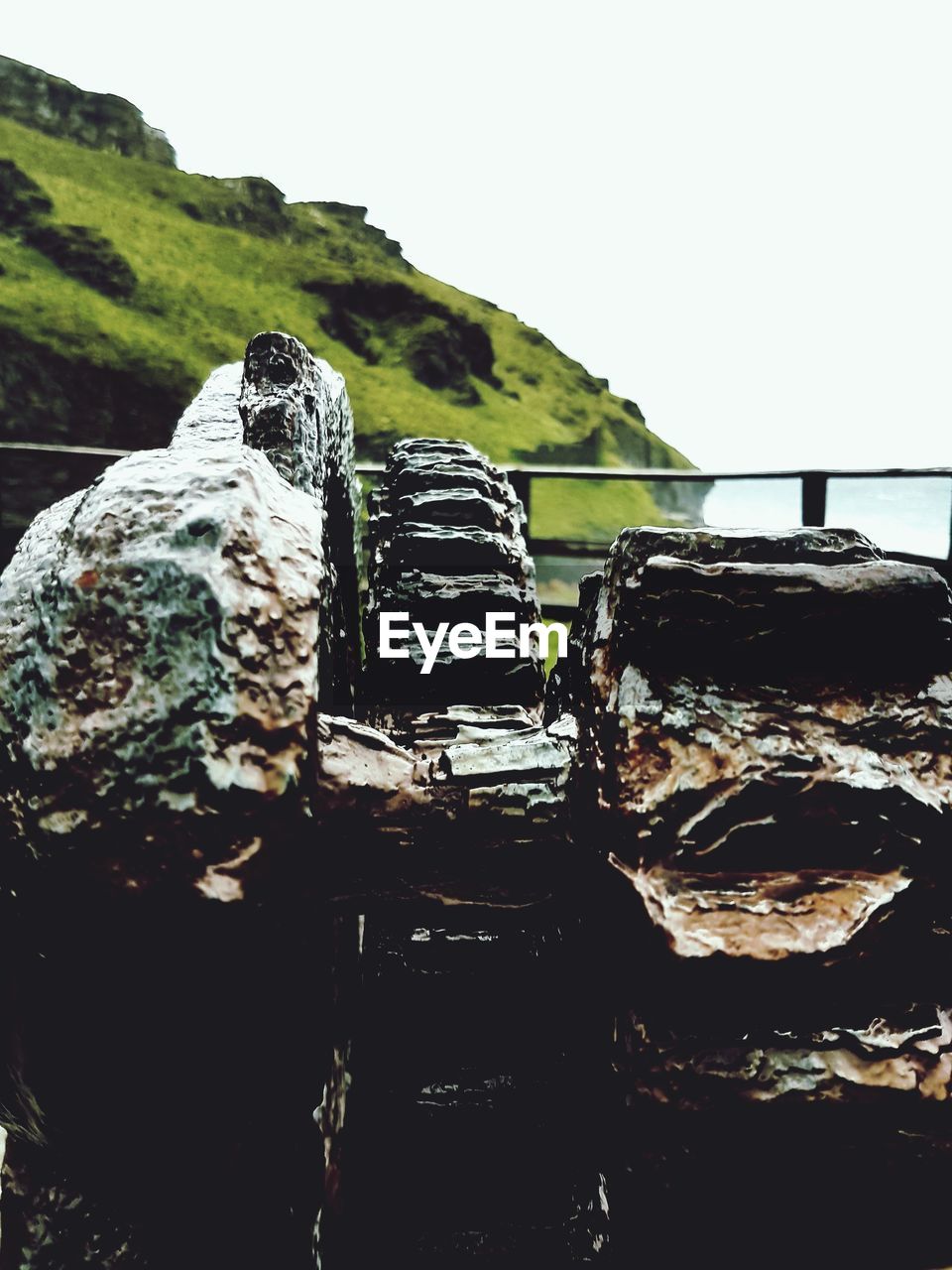 Close-up of crab on rock by sea against clear sky