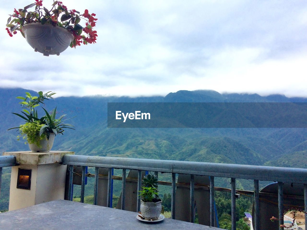 Potted plants on balcony against mountains