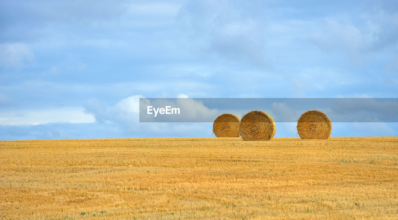 HAY BALE ON FIELD AGAINST SKY