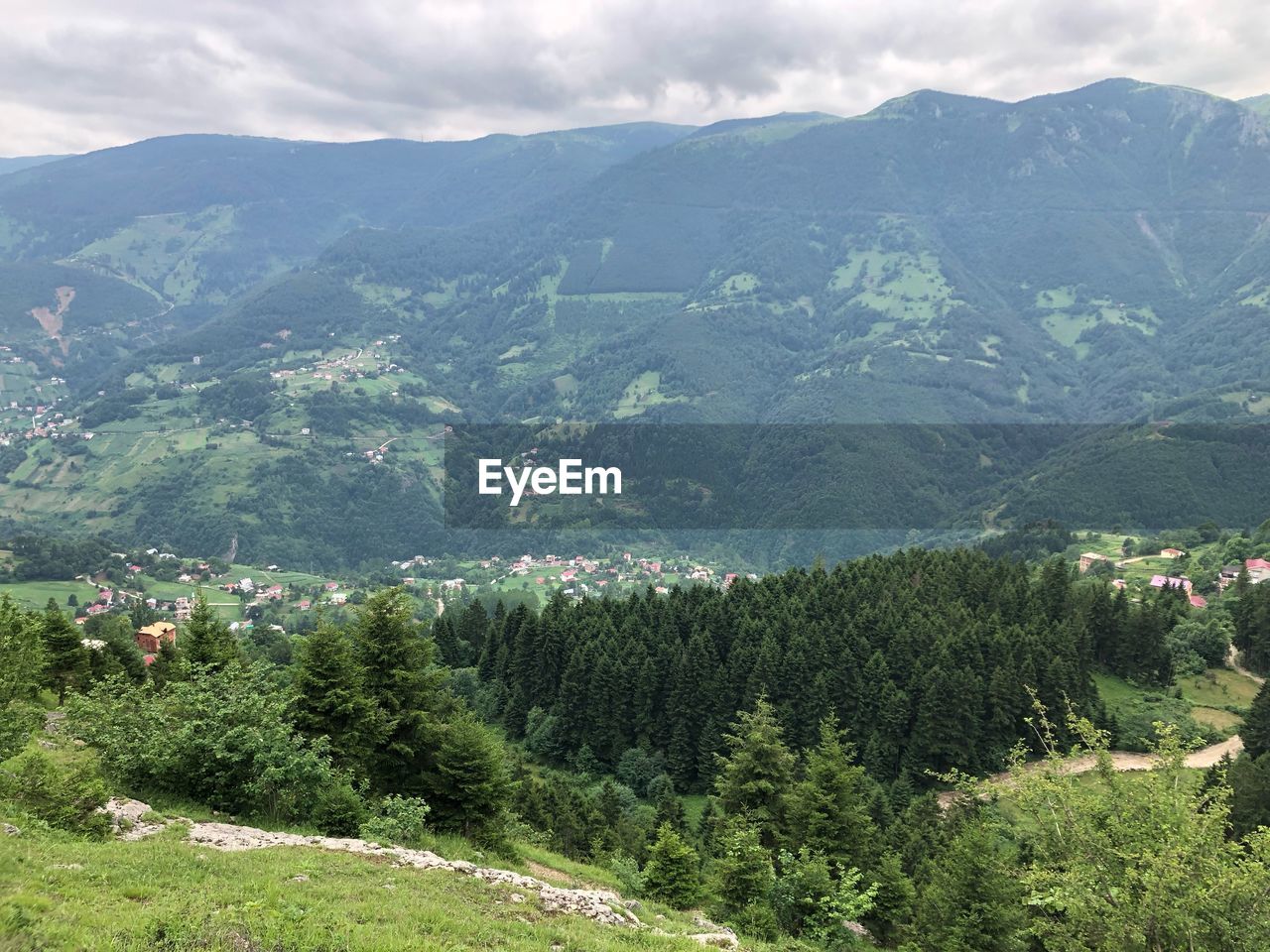 Scenic view of pine trees and mountains against sky