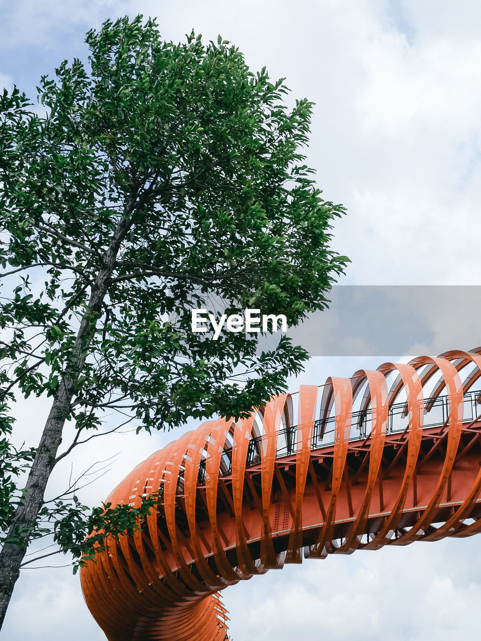 tree, sky, plant, nature, architecture, cloud, no people, built structure, low angle view, amusement park, park, outdoors, day, tradition, travel destinations