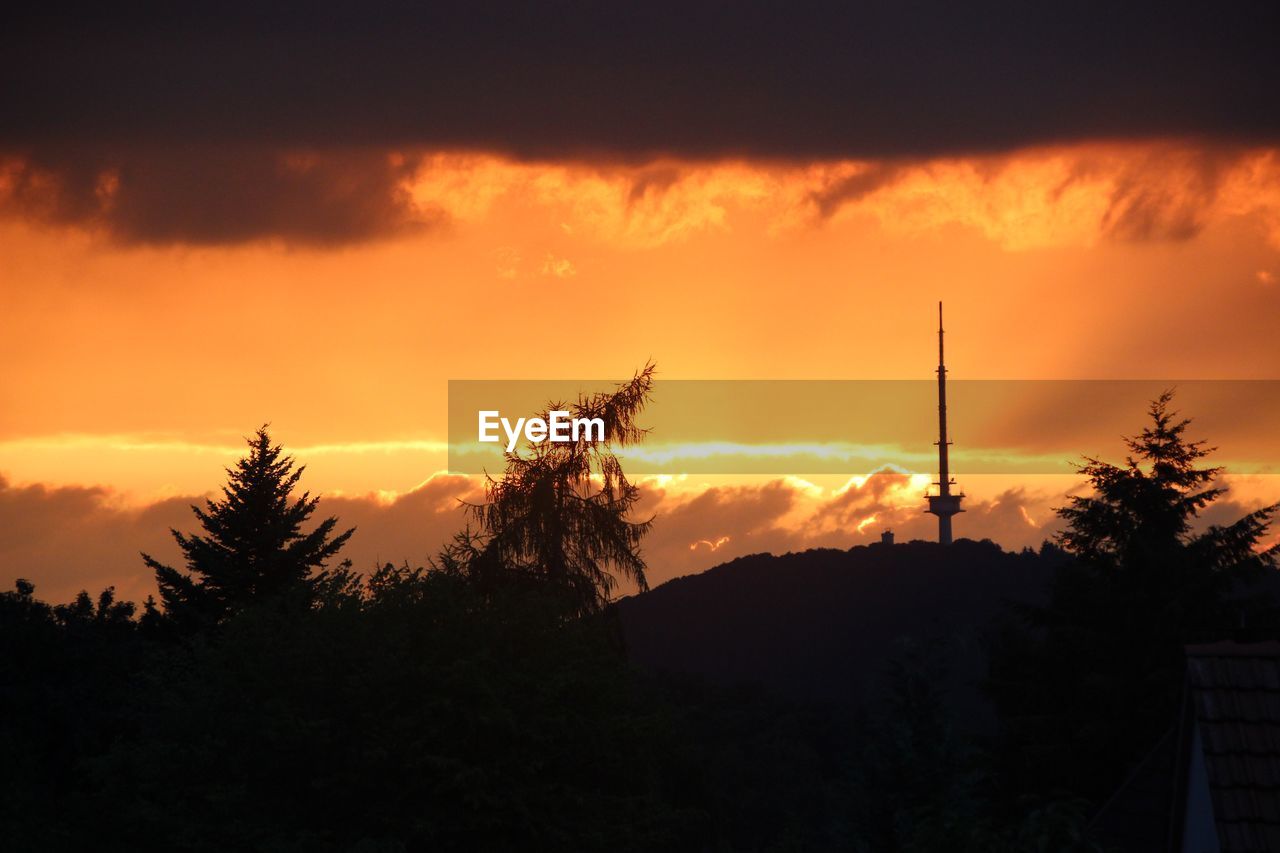 SILHOUETTE TREES AGAINST ORANGE SKY DURING SUNSET