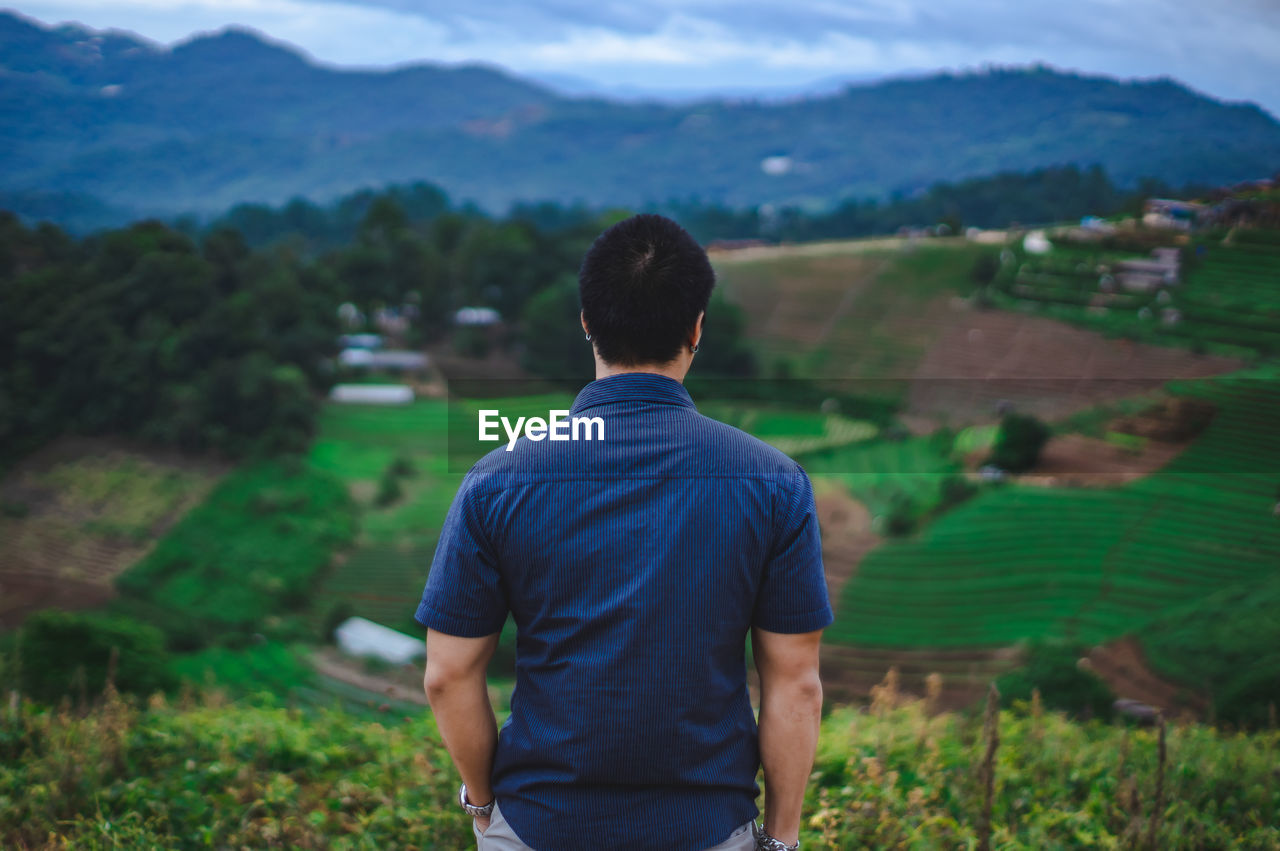 Rear view of man looking at field