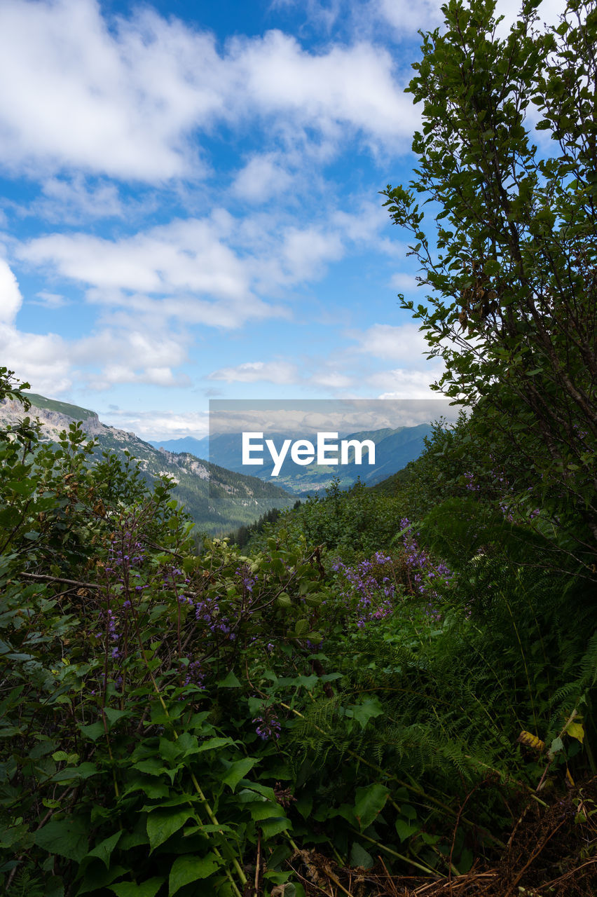 SCENIC VIEW OF GREEN MOUNTAINS AGAINST SKY