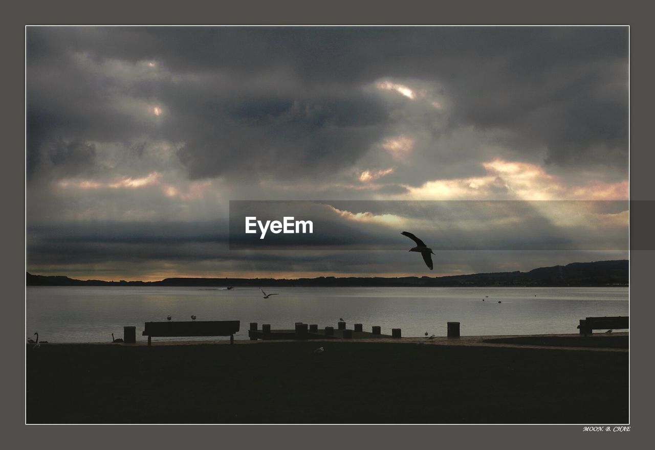 BIRDS FLYING OVER SEA AGAINST STORM CLOUDS