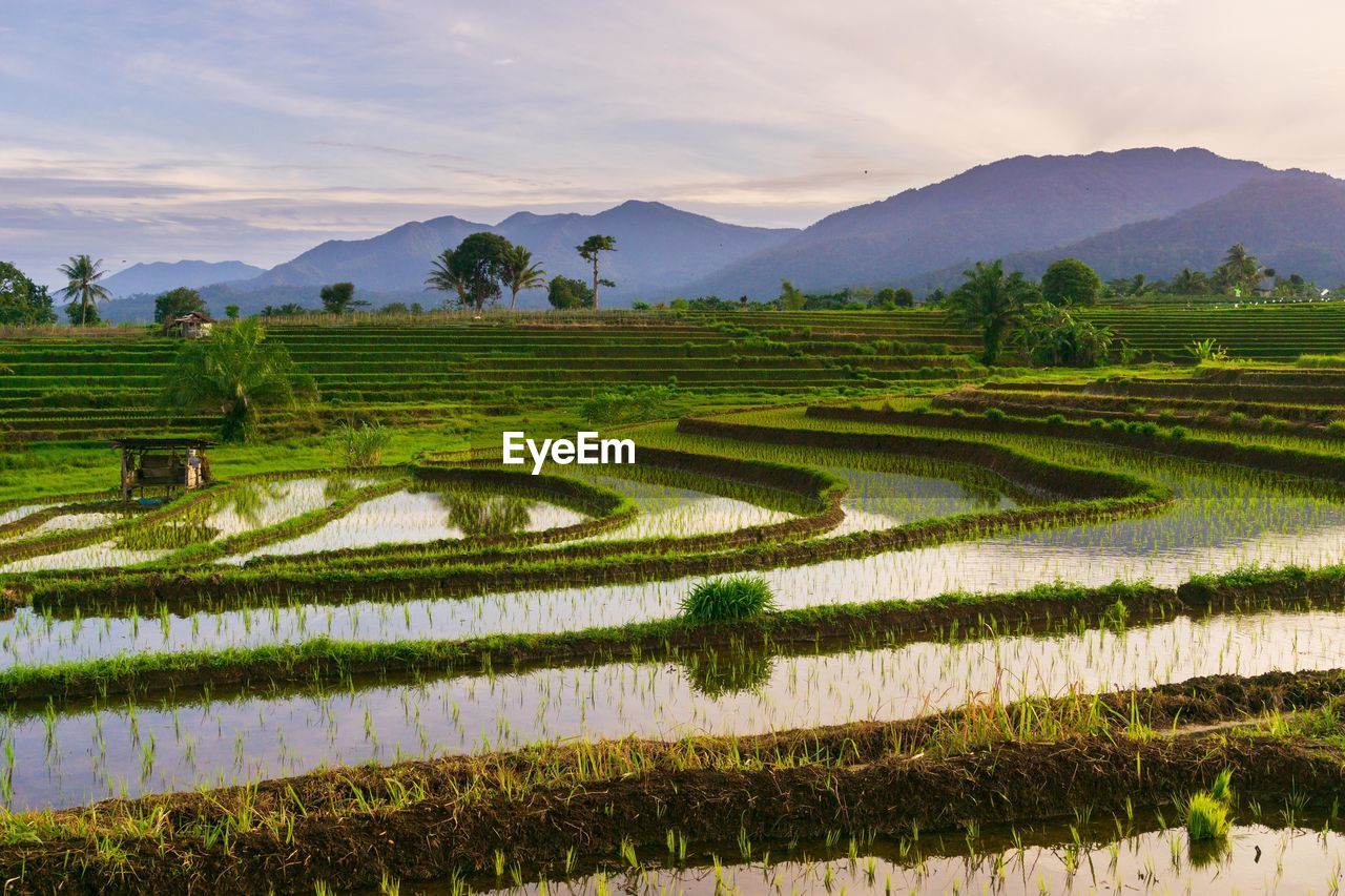 Beautiful morning view indonesia panorama landscape with beauty color and sky natural light