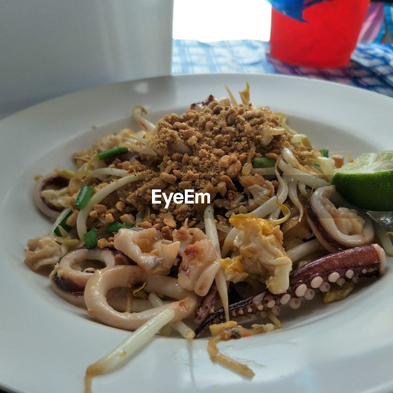 High angle view of meal served in plate