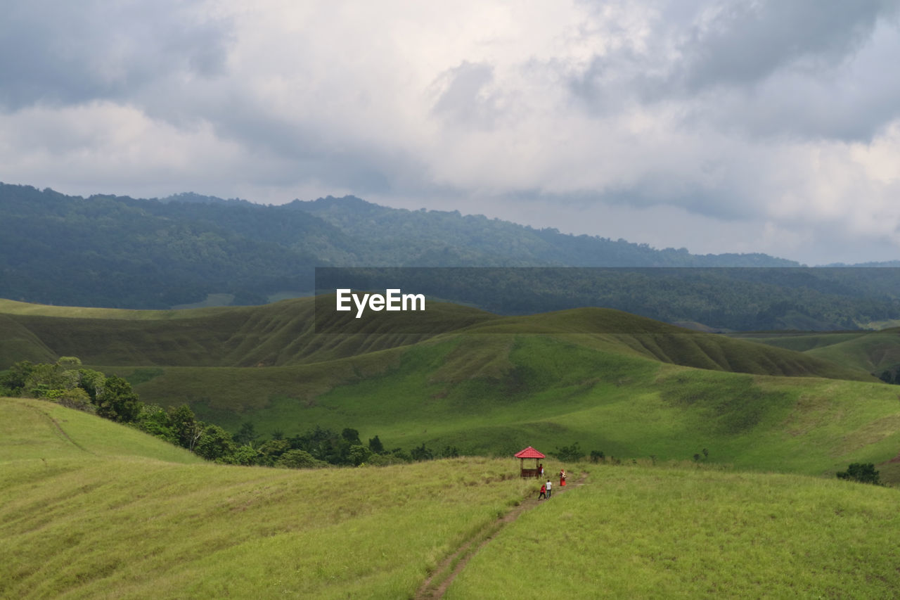 SCENIC VIEW OF PERSON RIDING ON FIELD