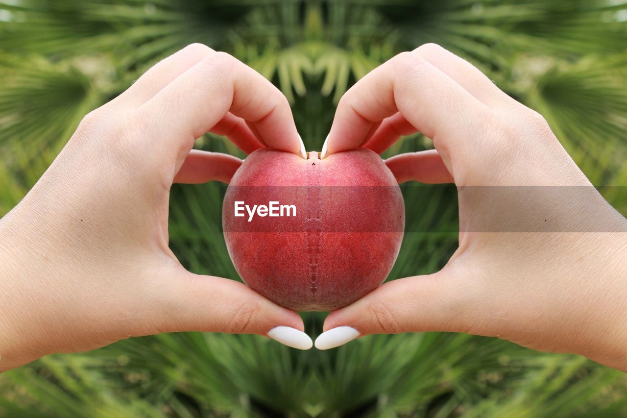 CLOSE-UP OF WOMAN HOLDING APPLE