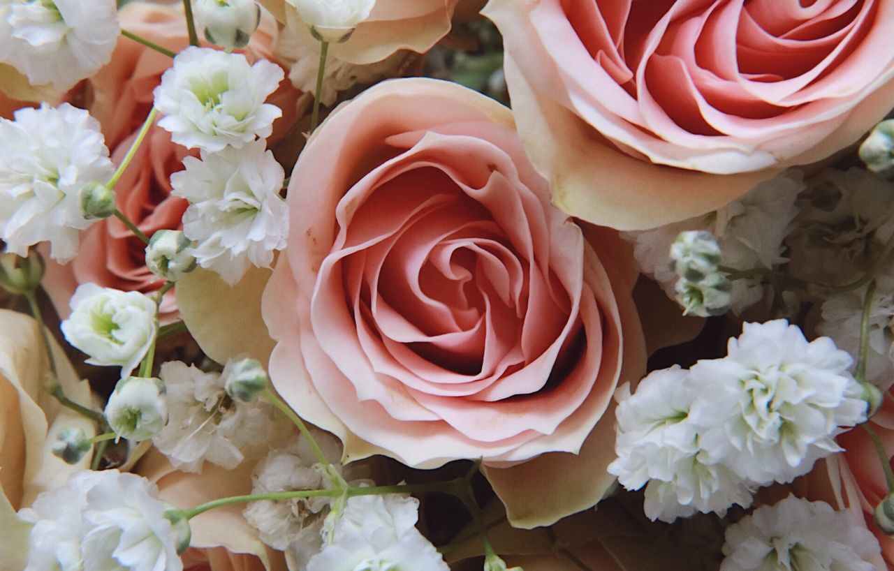 HIGH ANGLE VIEW OF ROSE BOUQUET ON WHITE ROSES