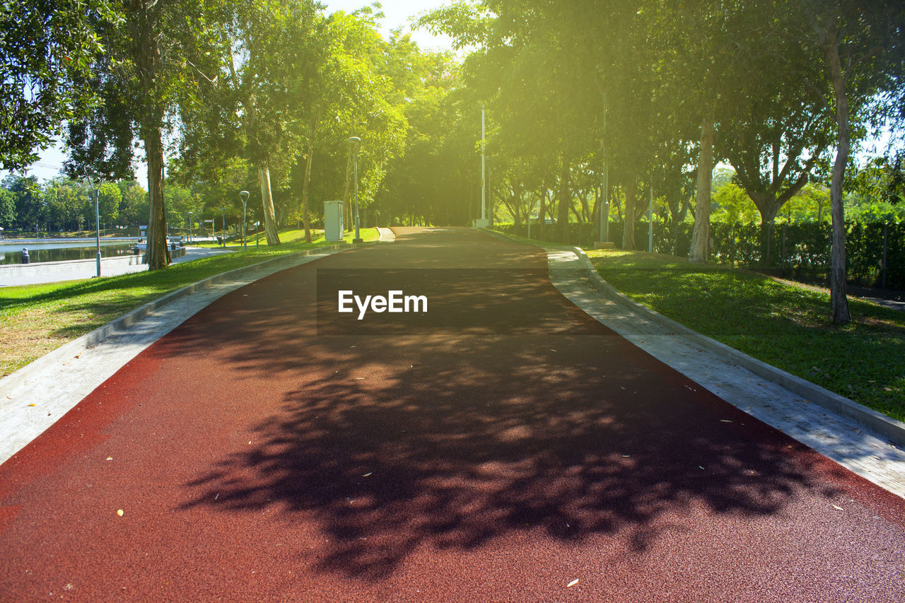 Road amidst trees in park