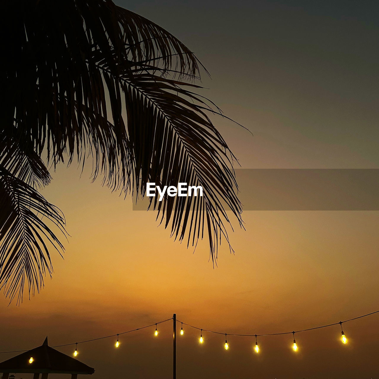 sky, palm tree, sunset, tropical climate, nature, tree, silhouette, illuminated, beauty in nature, night, dusk, evening, no people, architecture, plant, tranquility, outdoors, scenics - nature, palm leaf, light, travel destinations, built structure, tranquil scene, city, idyllic, low angle view, water