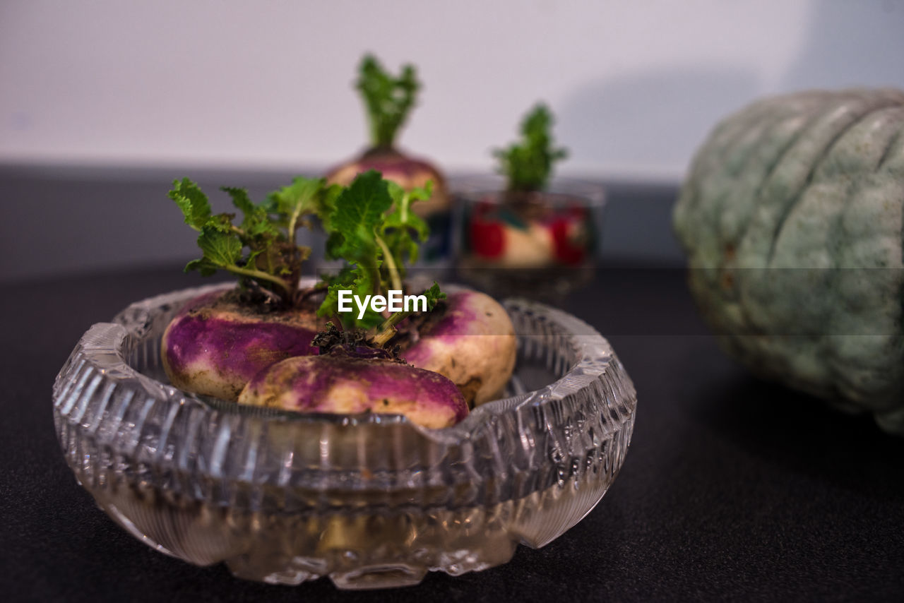 Close-up of rutabaga in the plate on the table as a decoration