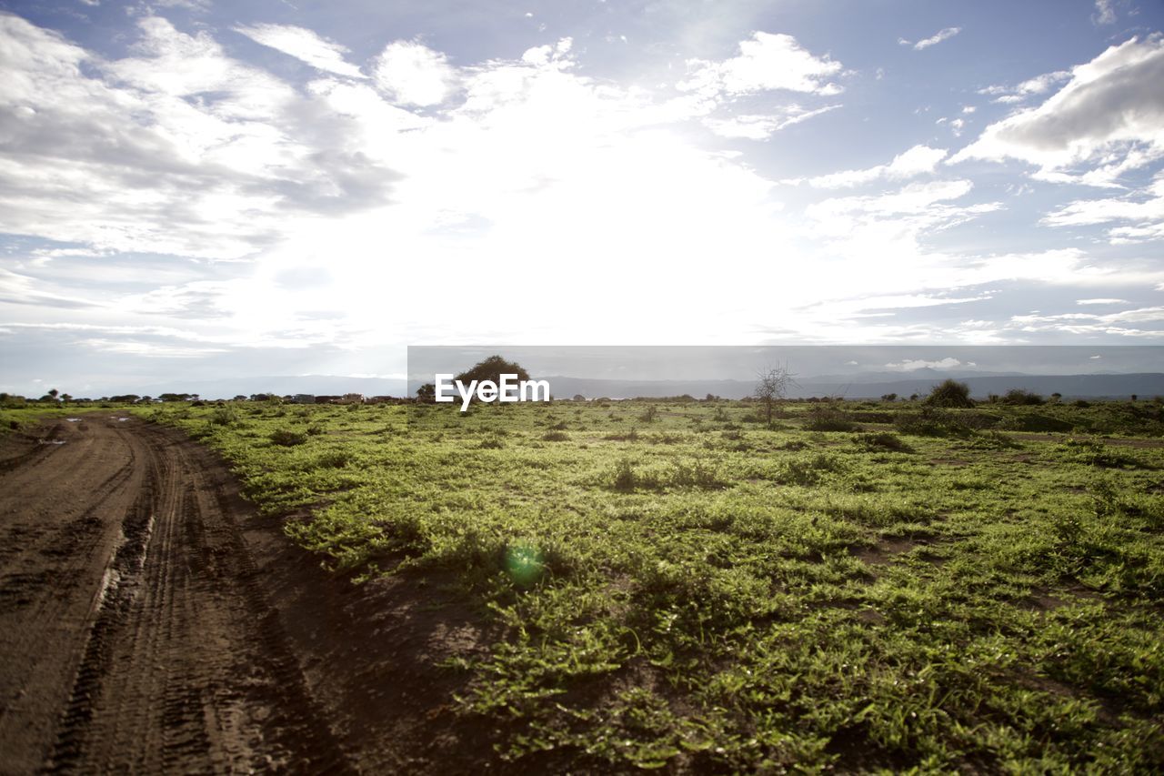 Pathway on field against sky