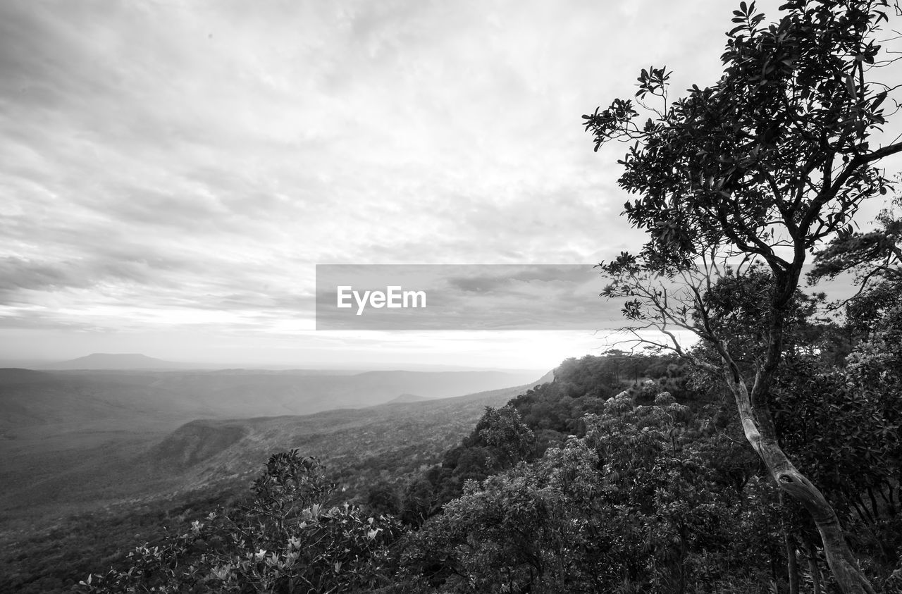 Scenic view of tree mountains against sky