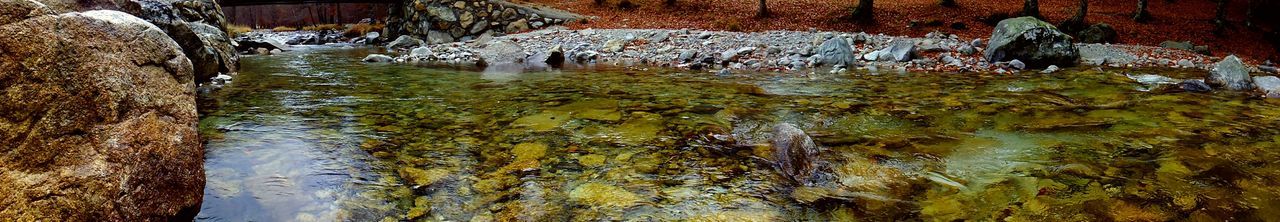 REFLECTION OF TREES IN WATER ON WATER