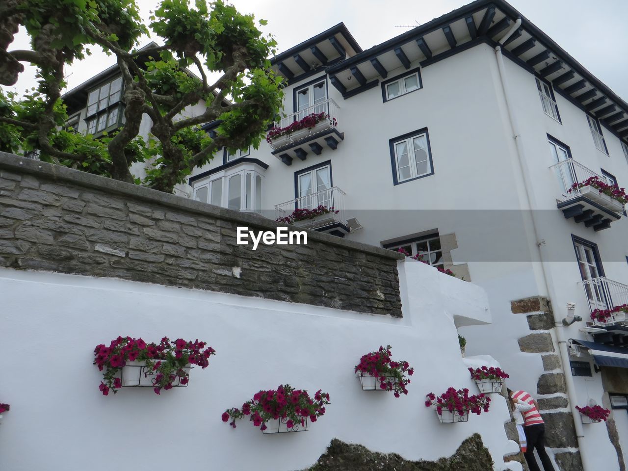 LOW ANGLE VIEW OF BUILDINGS IN CITY